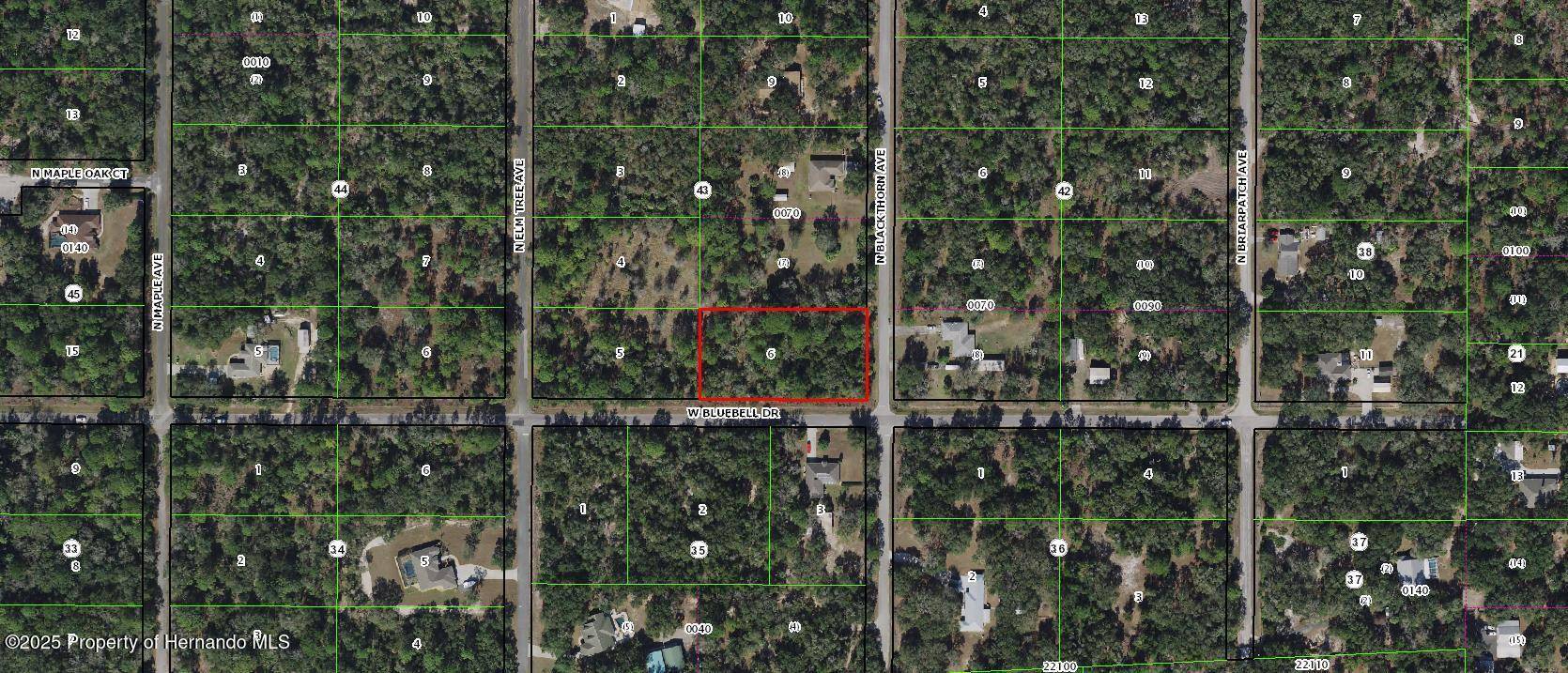 Crystal River, FL 00000,8352 N BLACKTHORN Avenue
