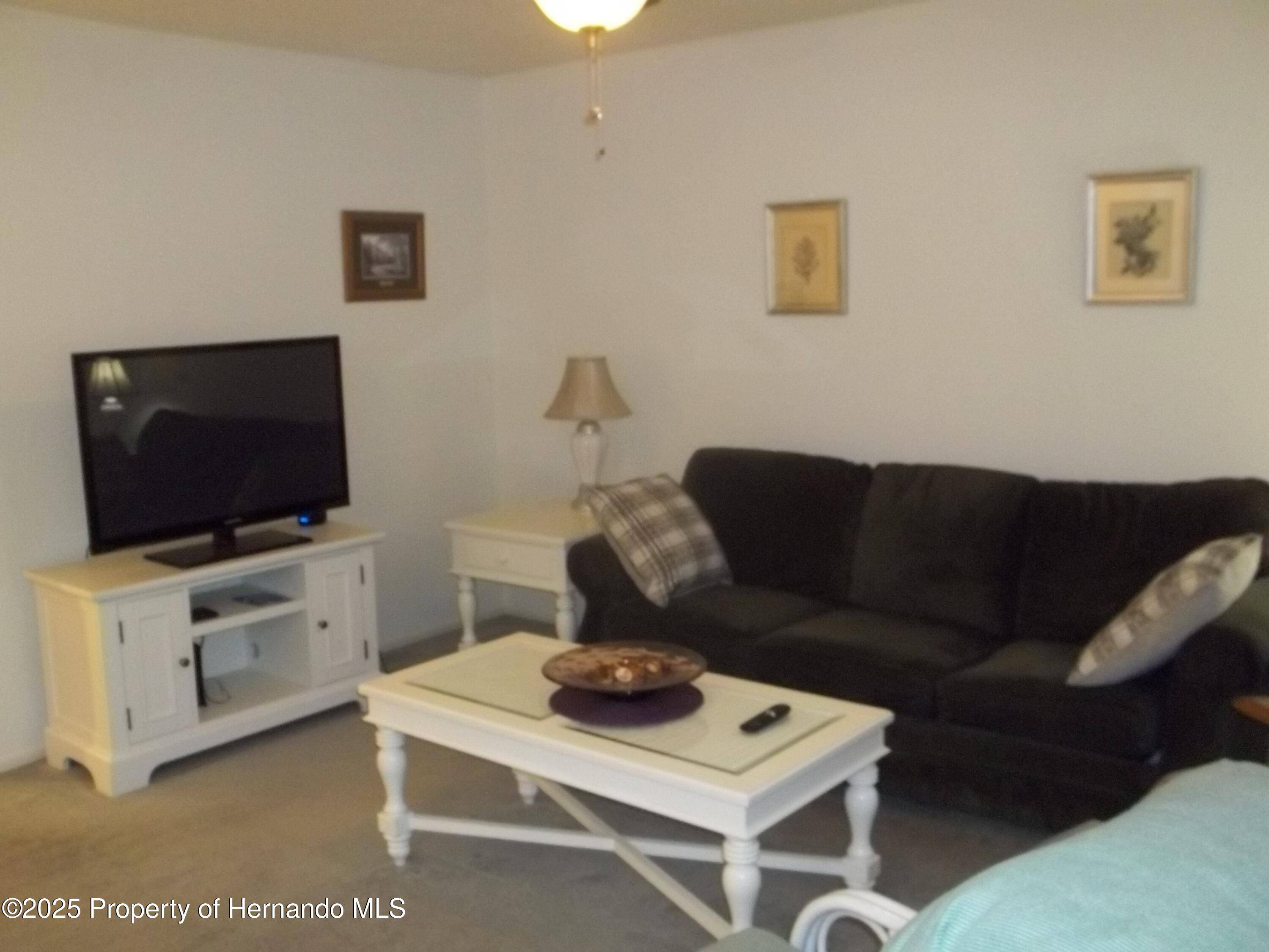 Spring Hill, FL 34606,6364 Pinestand Court