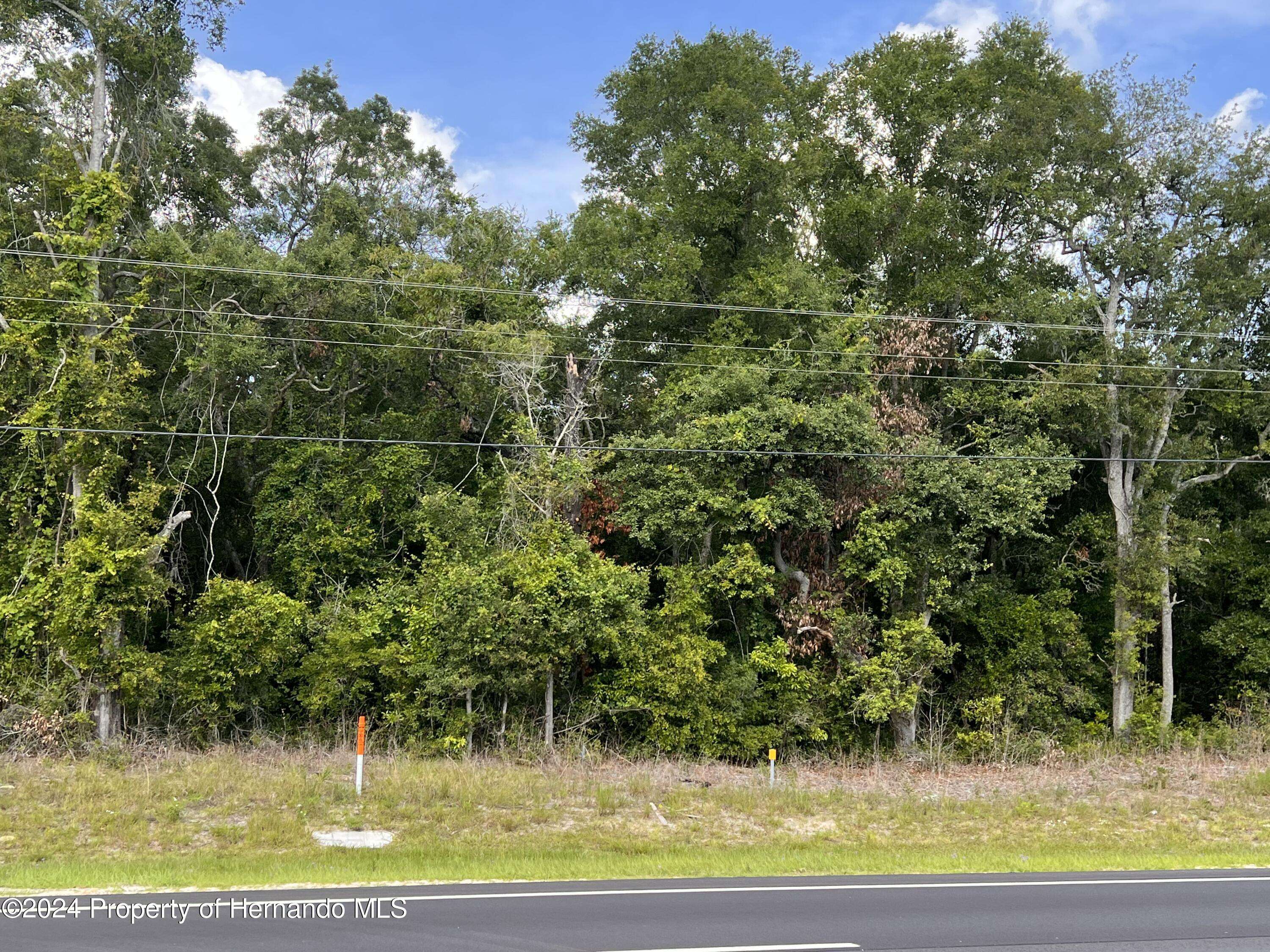 Chiefland, FL 32626,0 US Hwy 19