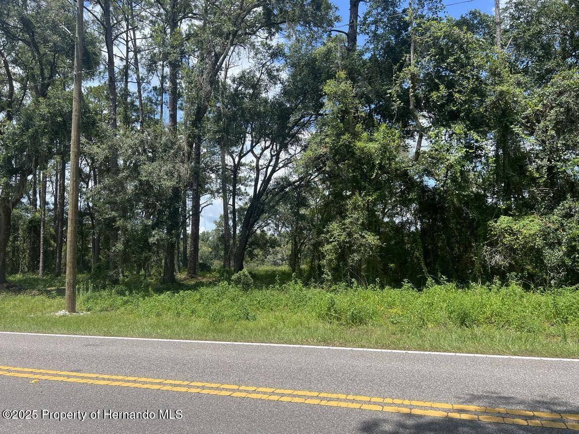 Dunnellon, FL 34431,408263 SW Rainbow Lakes Blvd