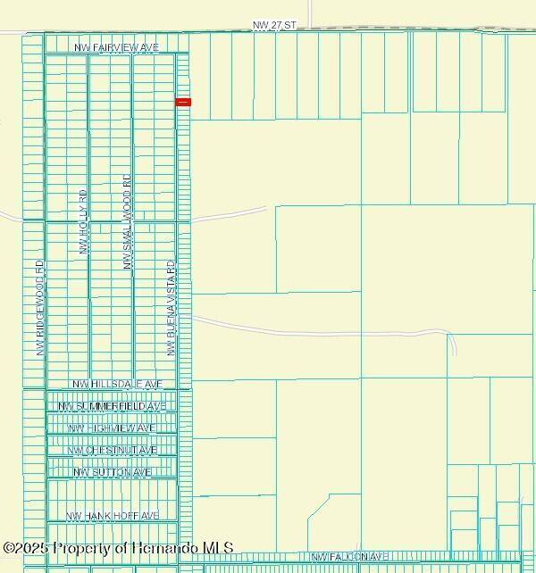Dunnellon, FL 34431,471381 NW Buena Vista Road