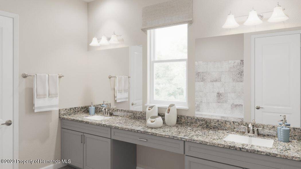 Land O' Lakes, FL 34638,16941 FALLING WATERS Court