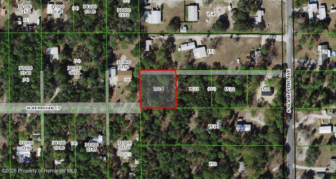 Homosassa, FL 34446,0 S Slash Pine Avenue