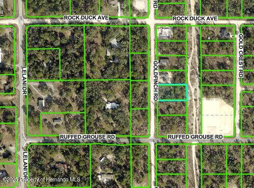 Weeki Wachee, FL 34614,0 Goldfinch Road