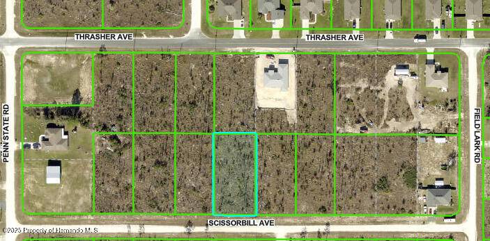 Weeki Wachee, FL 34614,0 scissorbill Avenue