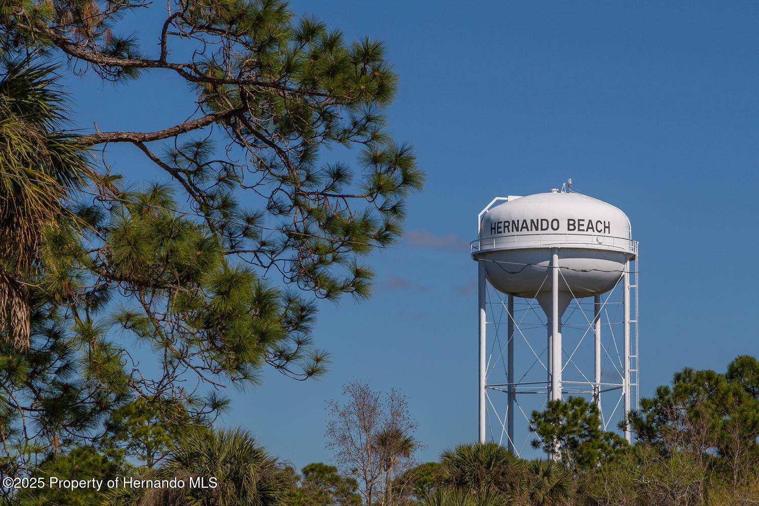 Hernando Beach, FL 34607,41 Sea Grape Drive