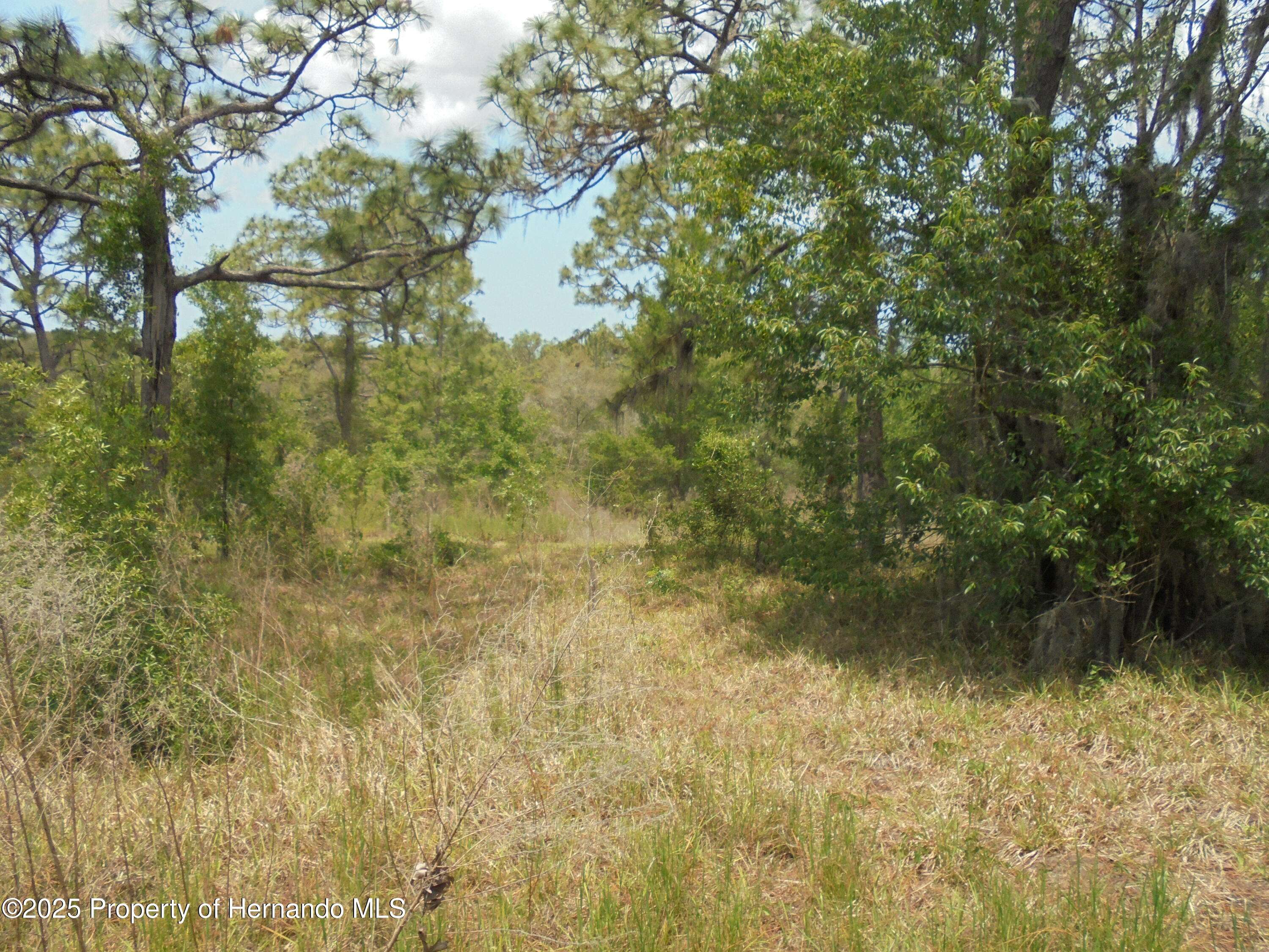 Spring Hill(pasco), FL 34610,18203 GALVESTON Street