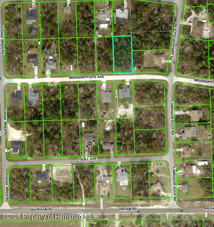 Weeki Wachee, FL 34614,0 Mississippi Kite Avenue