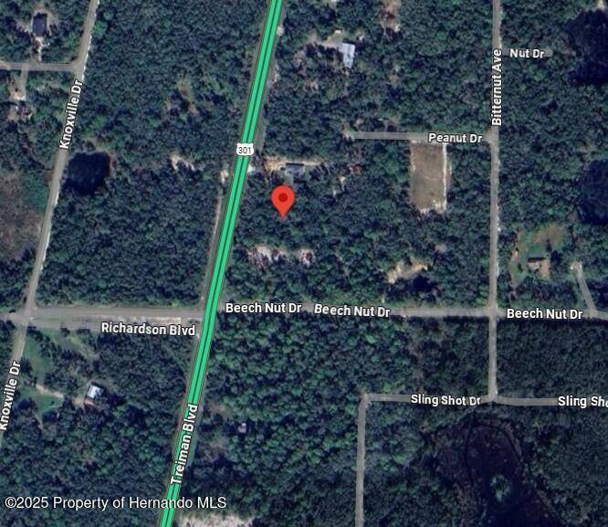 Webster, FL 33597,7446 Treiman Boulevard