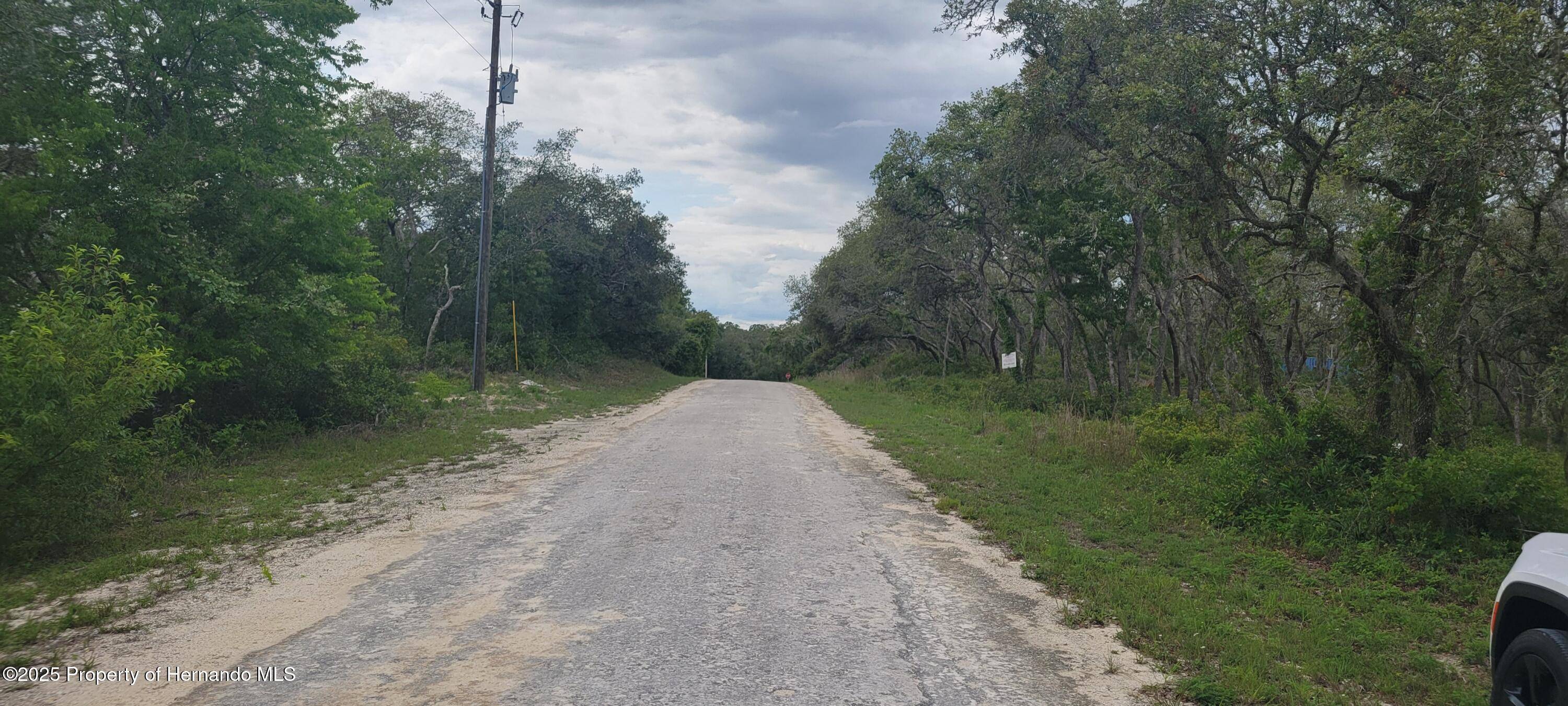 Ridge Manor, FL 33597,0 Manuel