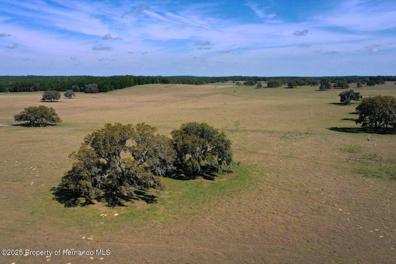 Floral City, FL 34436,0 S OLD JONES RD Road