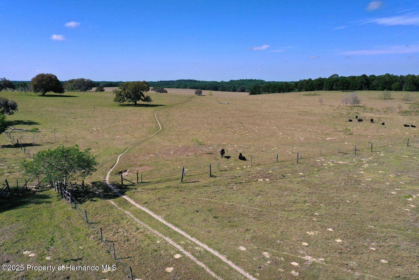 Floral City, FL 34436,0 S OLD JONES RD Road