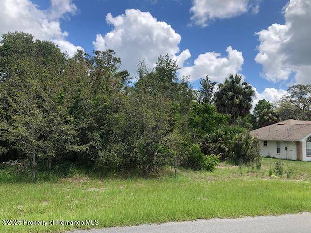 Spring Hill, FL 34606,0 Alderwood Street