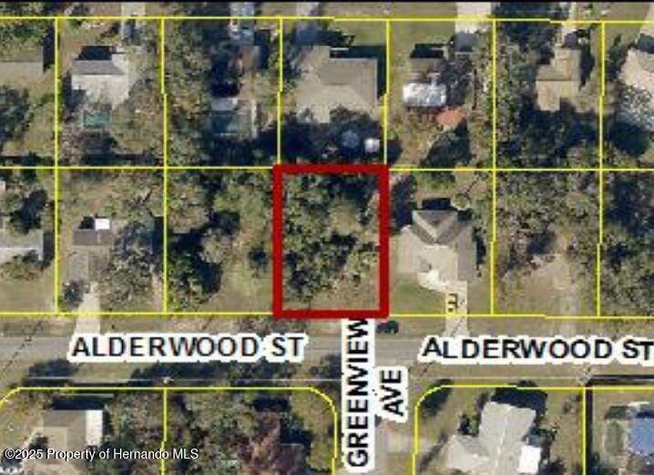 Spring Hill, FL 34606,0 Alderwood Street