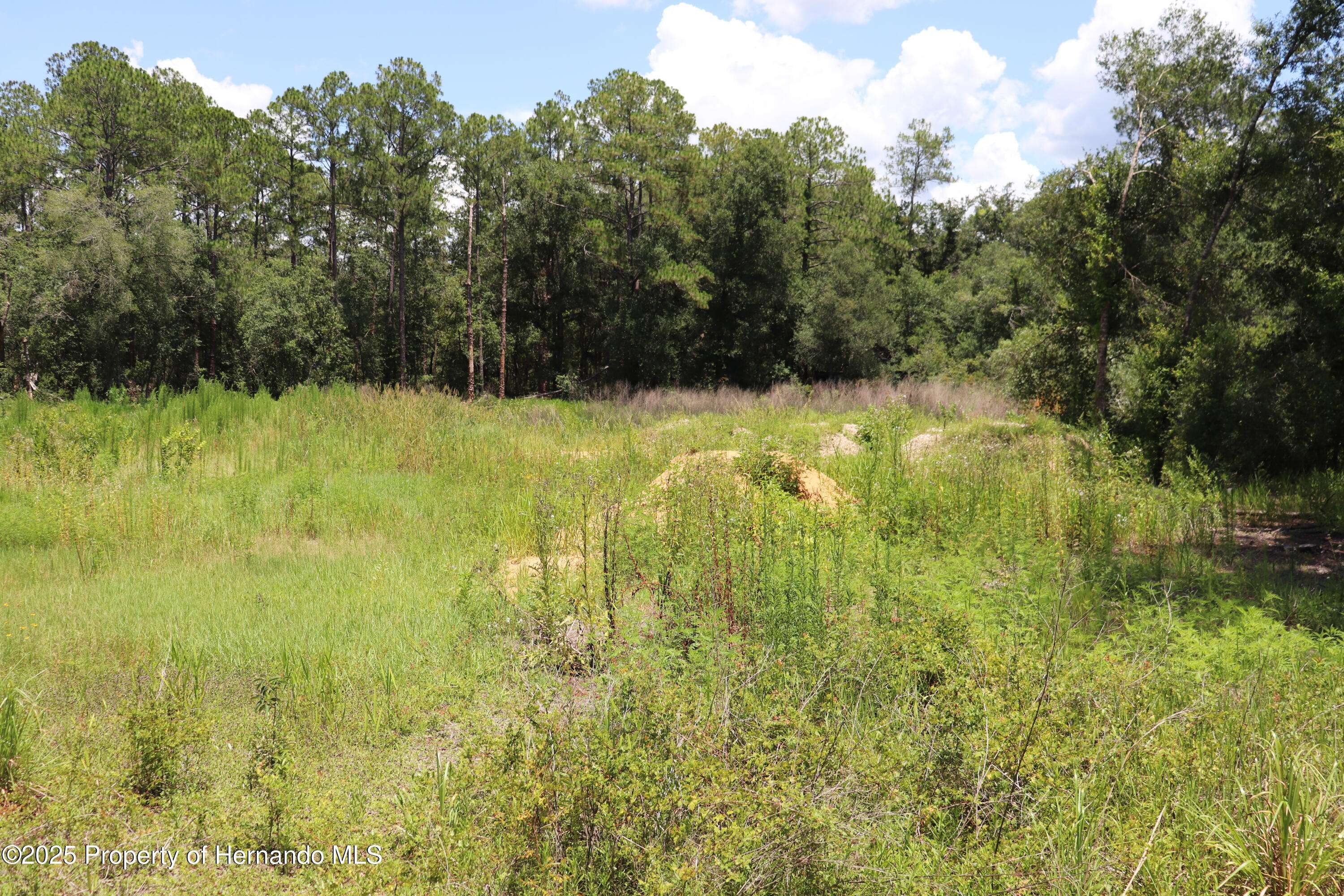 Webster, FL 33597,0 BEDSTONE Drive