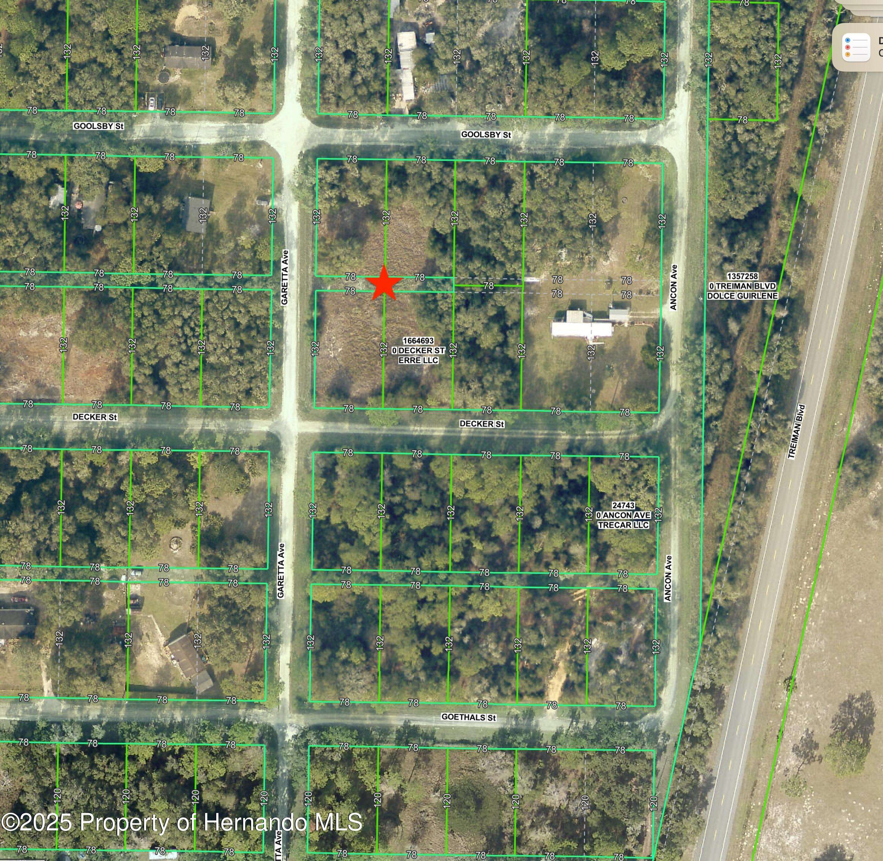 Webster, FL 33597,0 Goolsby Street