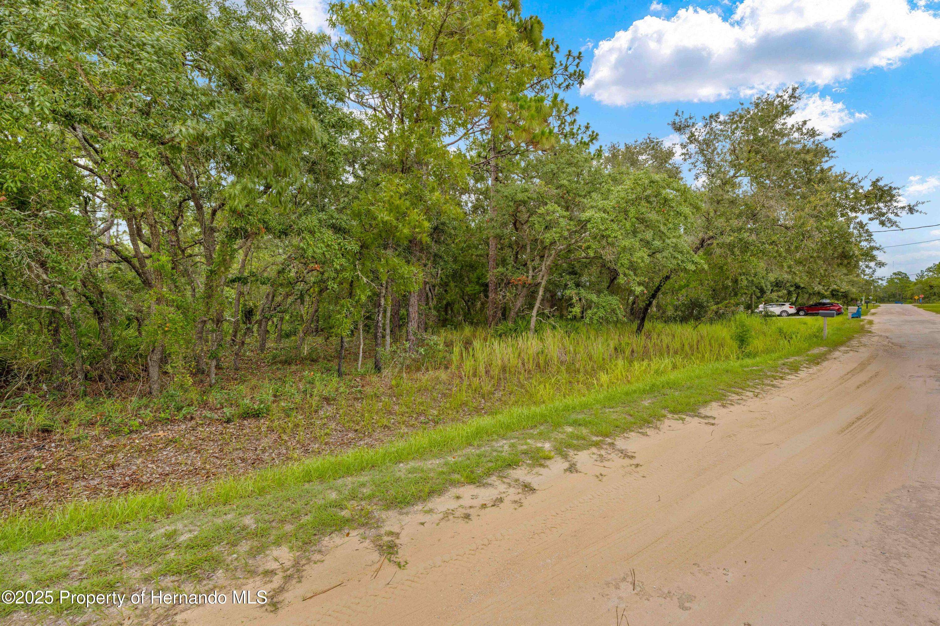 Weeki Wachee, FL 34613,0 Maybird Avenue