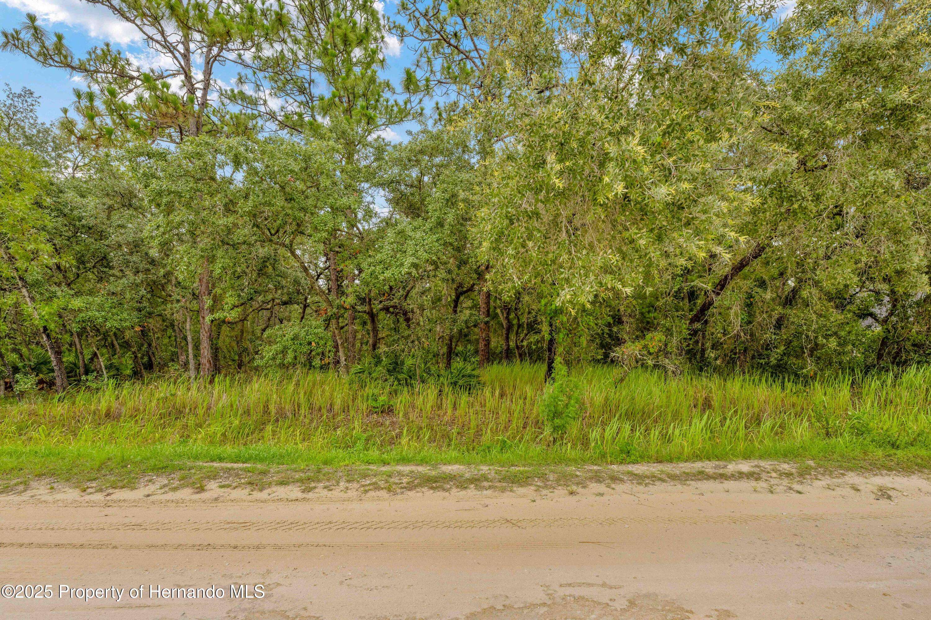 Weeki Wachee, FL 34613,0 Maybird Avenue