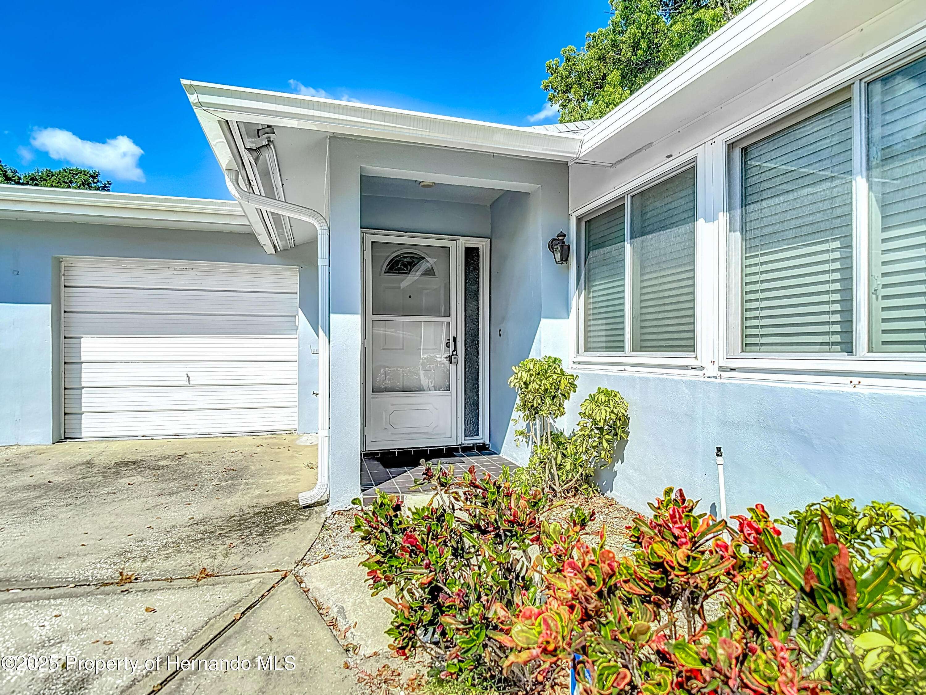 Palm Harbor, FL 34684,1613 Berwick Court #C