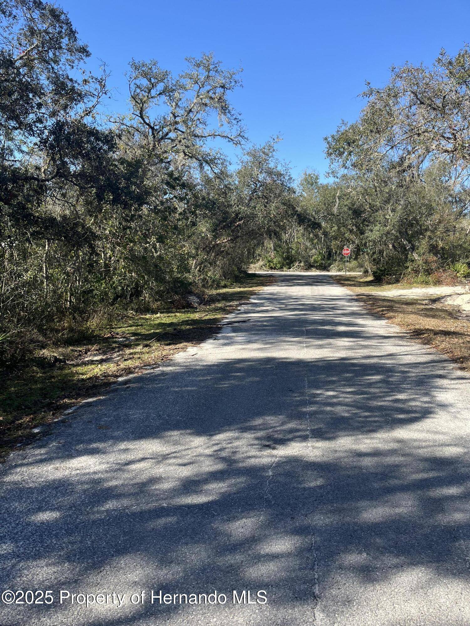 Webster, FL 33597,0 Excalibur