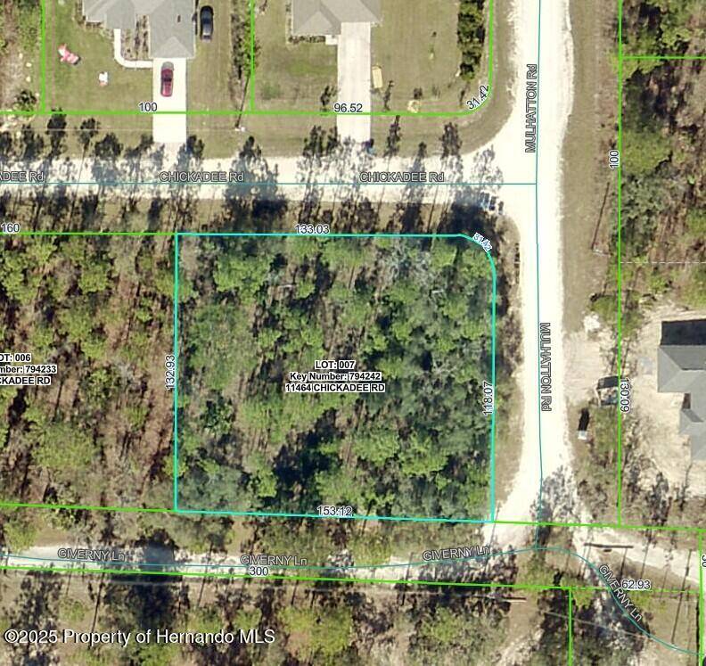 Weeki Wachee, FL 34614,11464 Chickadee Road