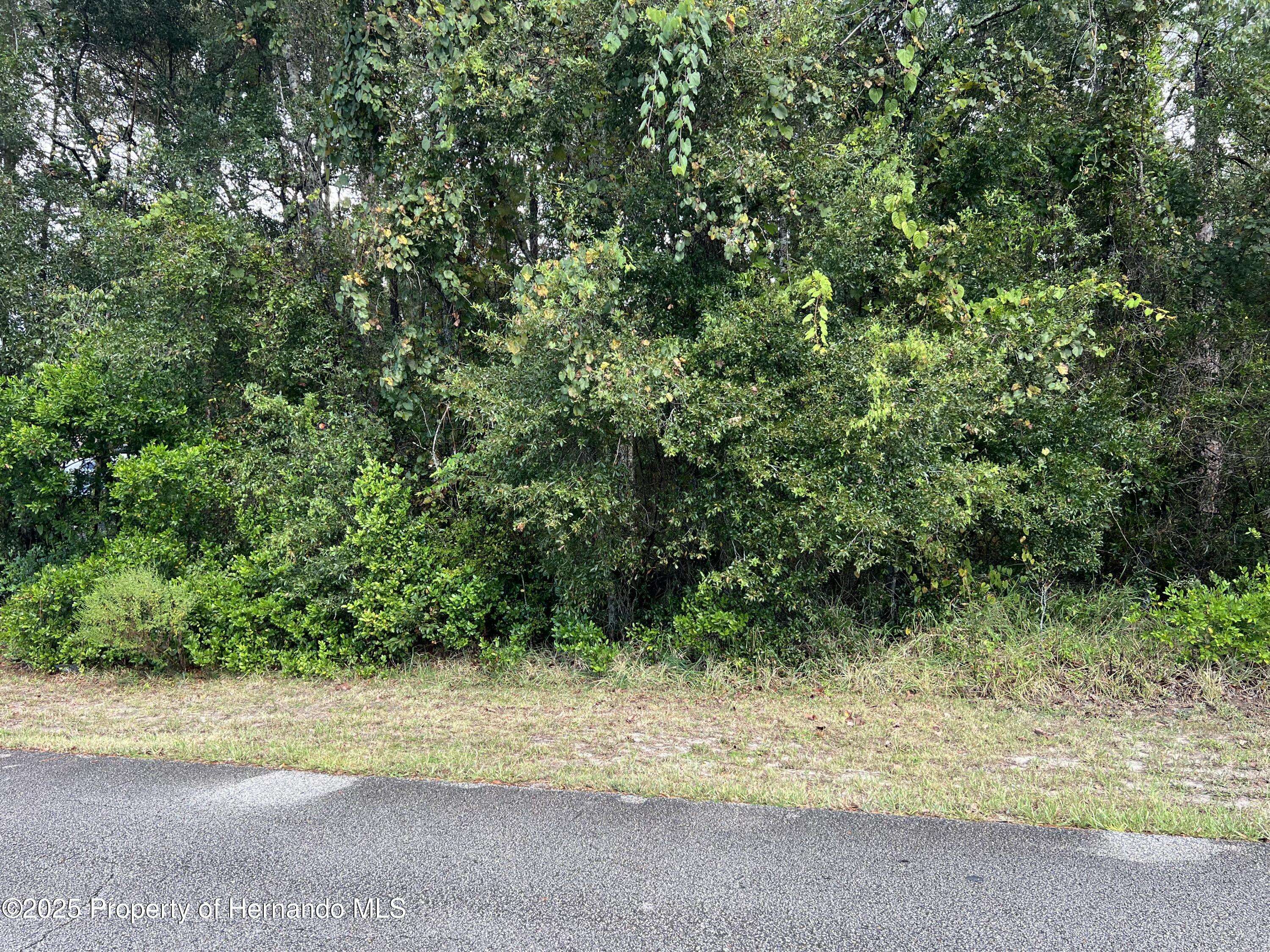 Brooksville, FL 34613,0 Simmons Street