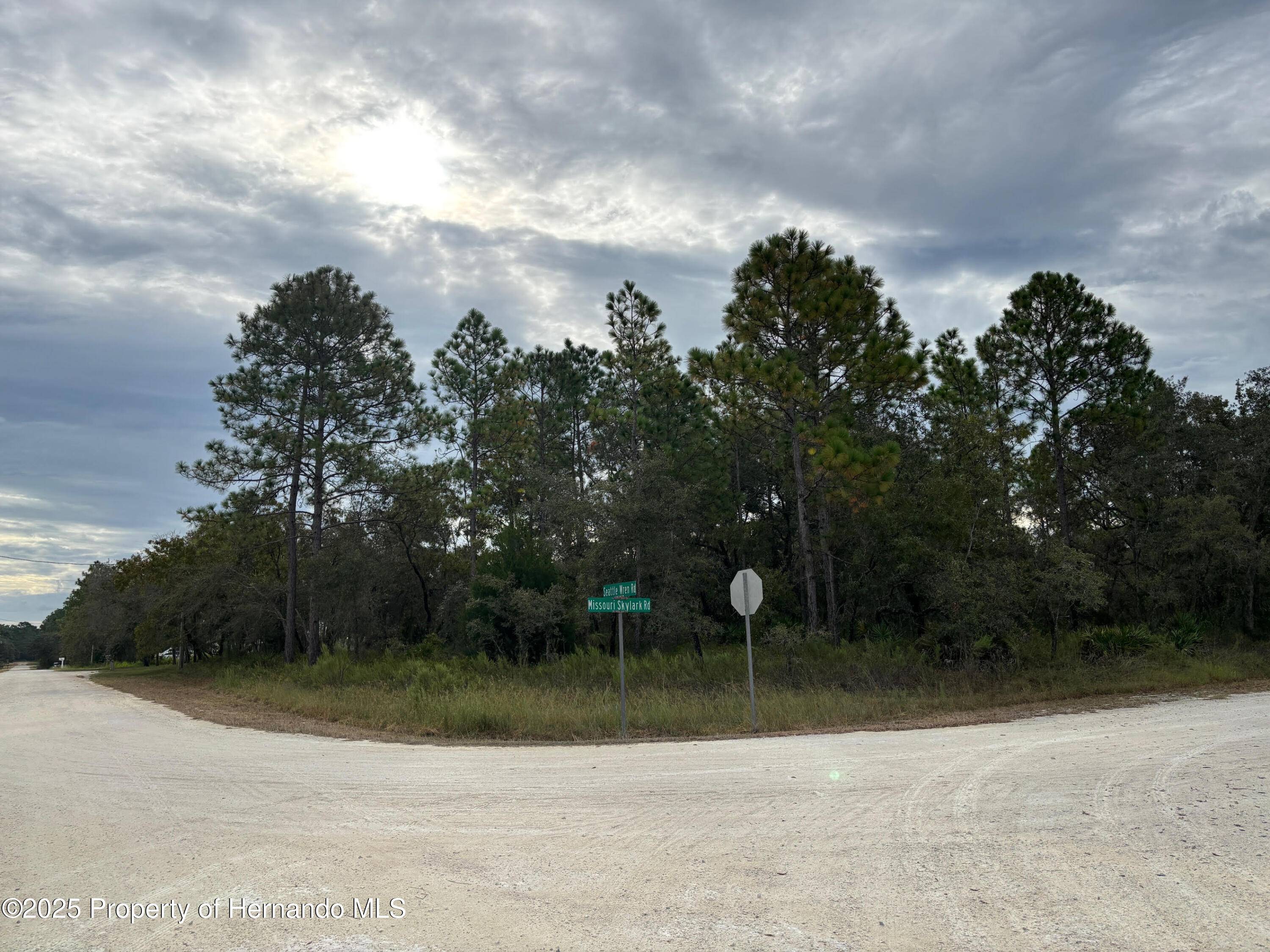 Weeki Wachee, FL 34614,1 Missouri Skylark Road