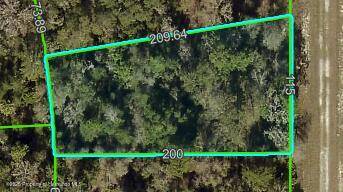 Weeki Wachee, FL 34614,0 Curlew Road