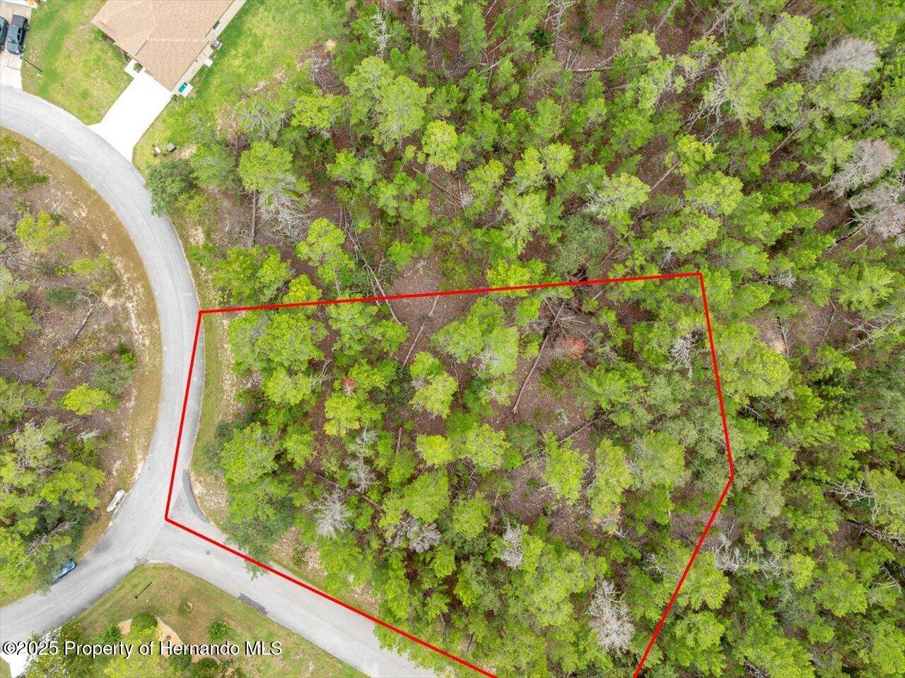 Homosassa, FL 34446,80 Bells of Ireland Court