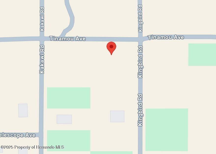 Weeki Wachee, FL 34614,16341 Kingbird Road