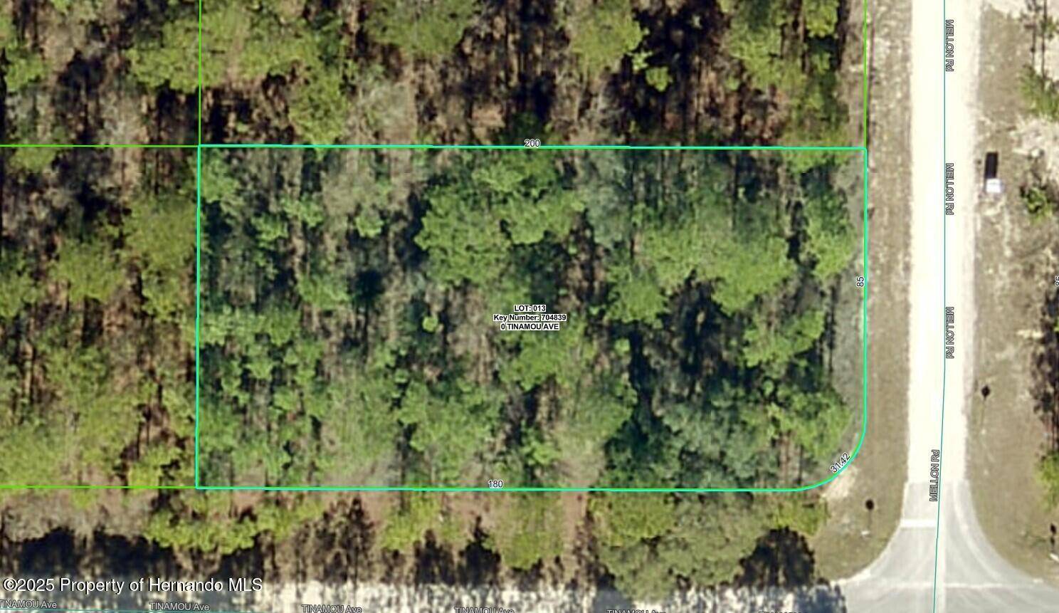 Weeki Wachee, FL 34614,13 Tinamou Avenue
