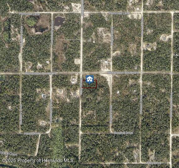 Webster, FL 33597,15 ALLOY ST