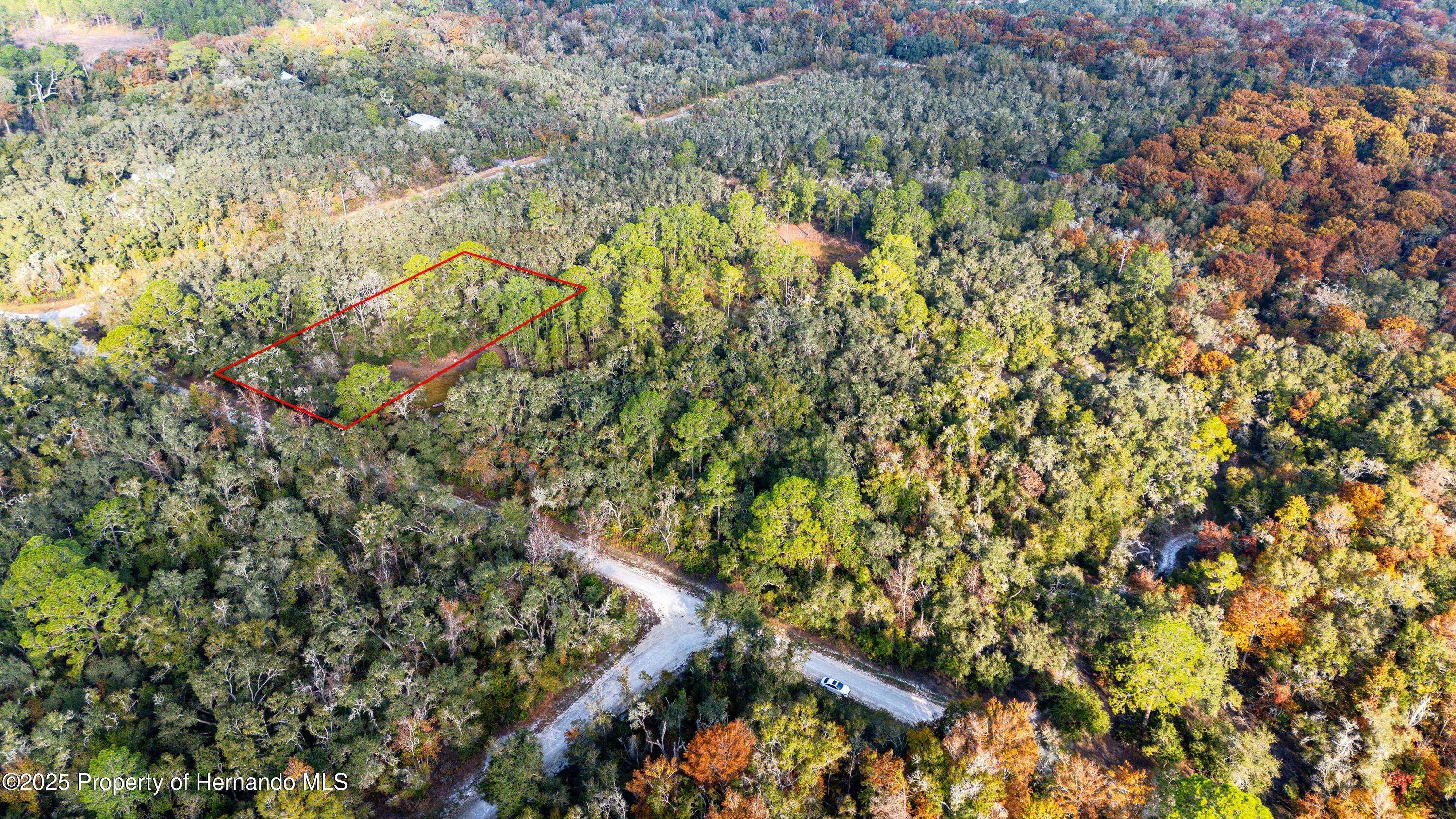 Webster, FL 33597,0 Rose Bloom LOT 7 Avenue