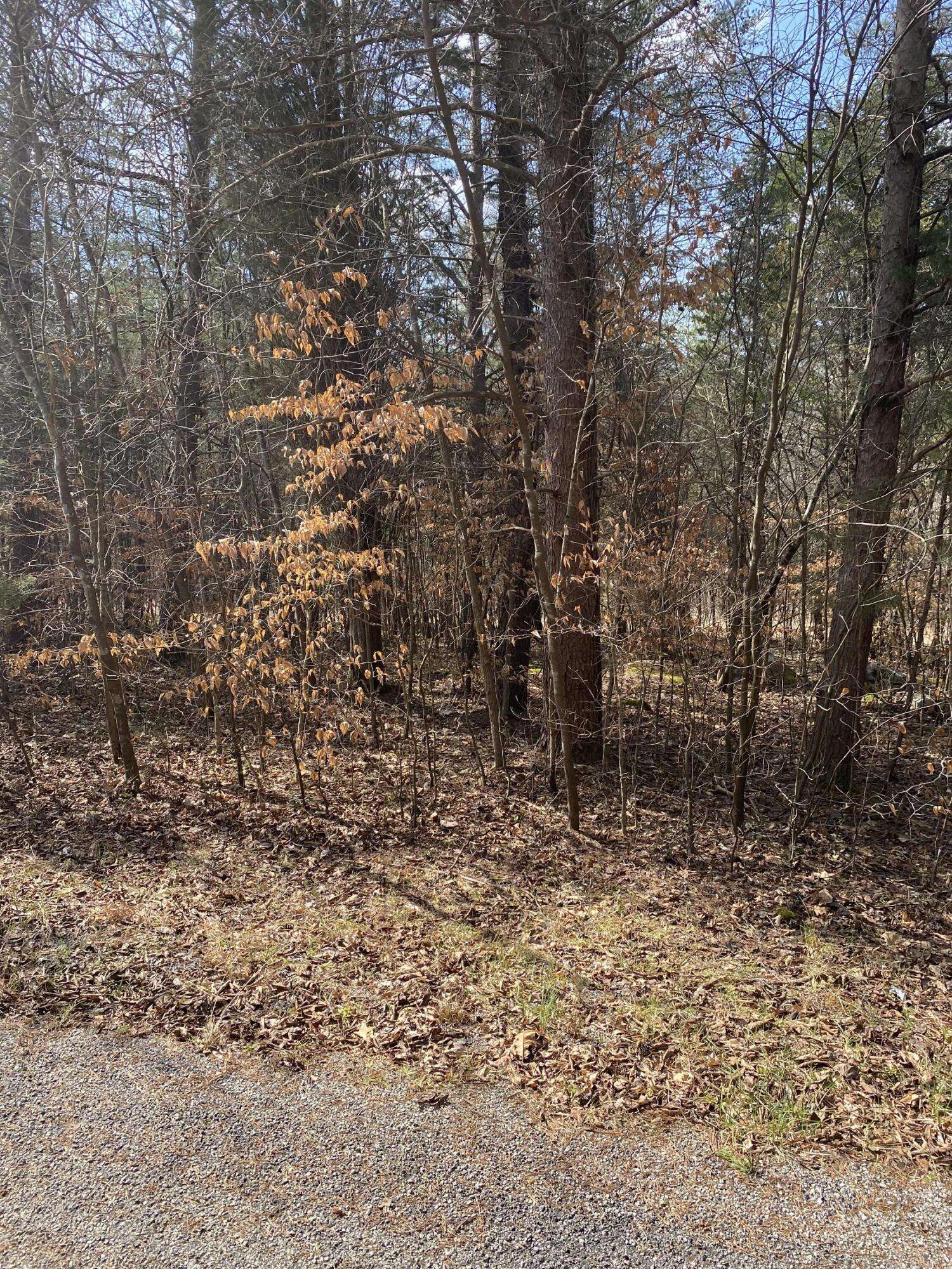 Burnside, KY 42519,Lot 20 North Fork Road