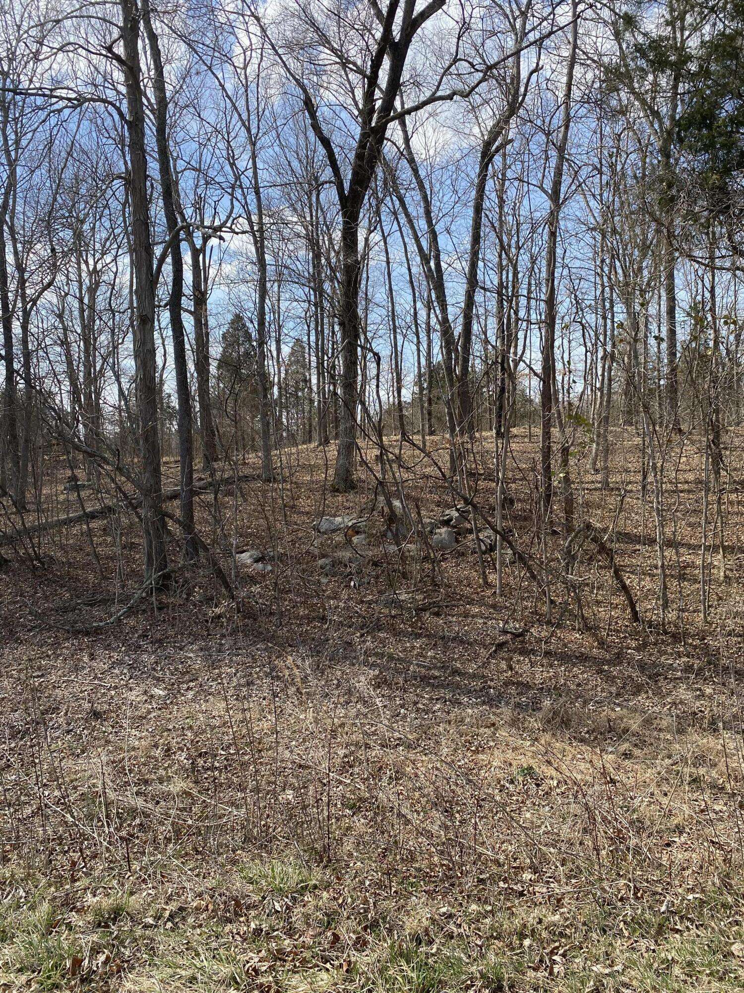 Burnside, KY 42519,Lot 3 North Fork Road