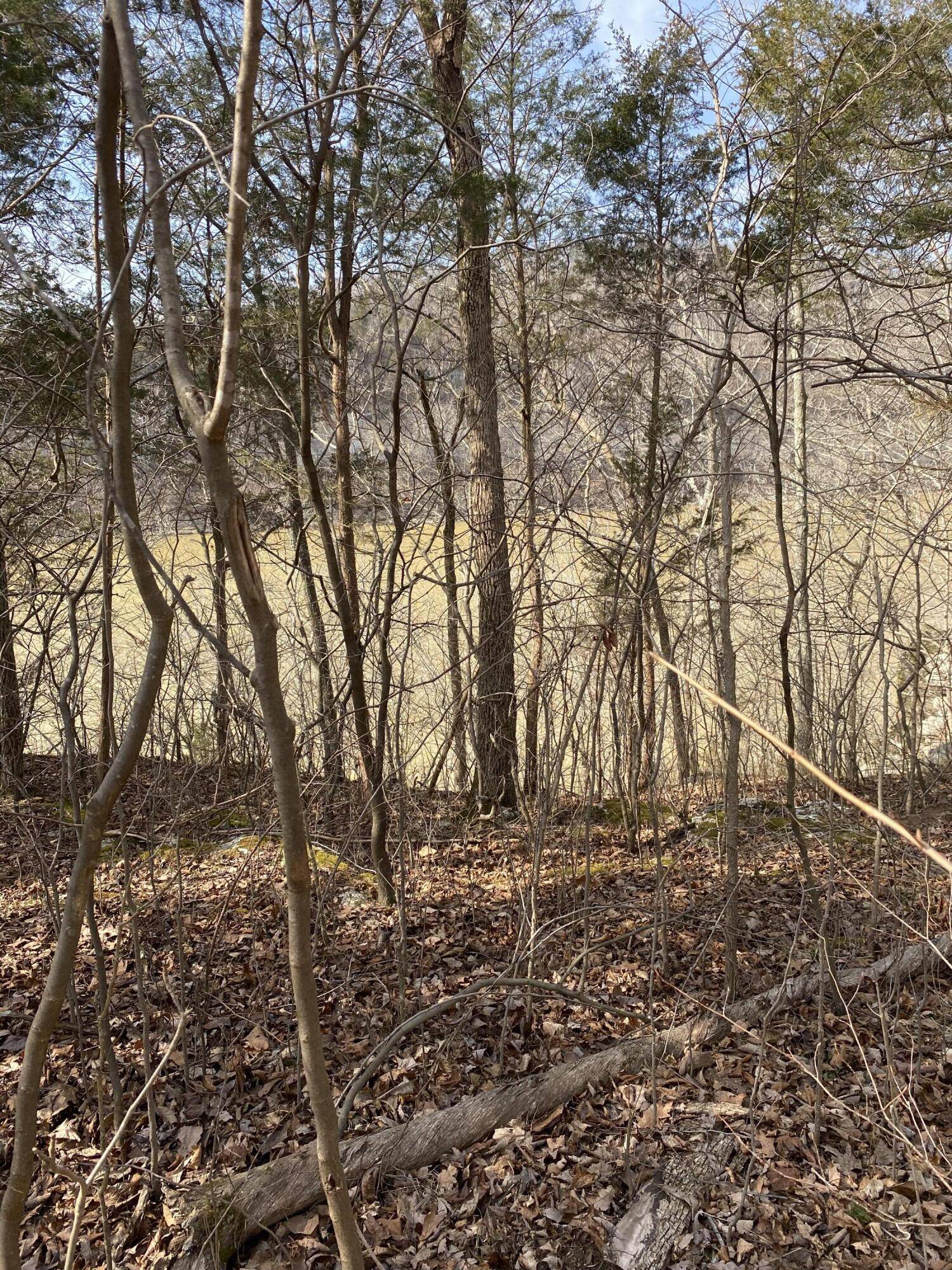 Burnside, KY 42519,Lot 3 North Fork Road