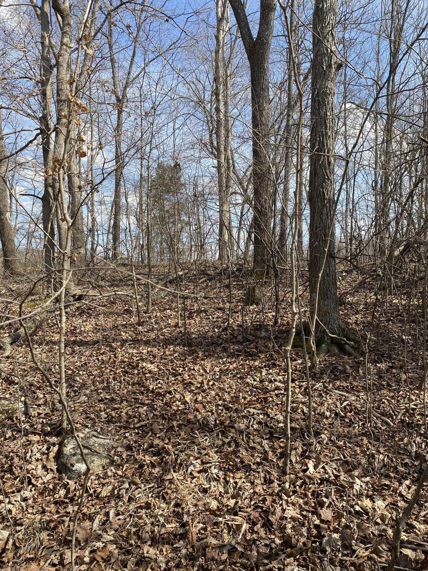 Burnside, KY 42519,Lot 3 North Fork Road