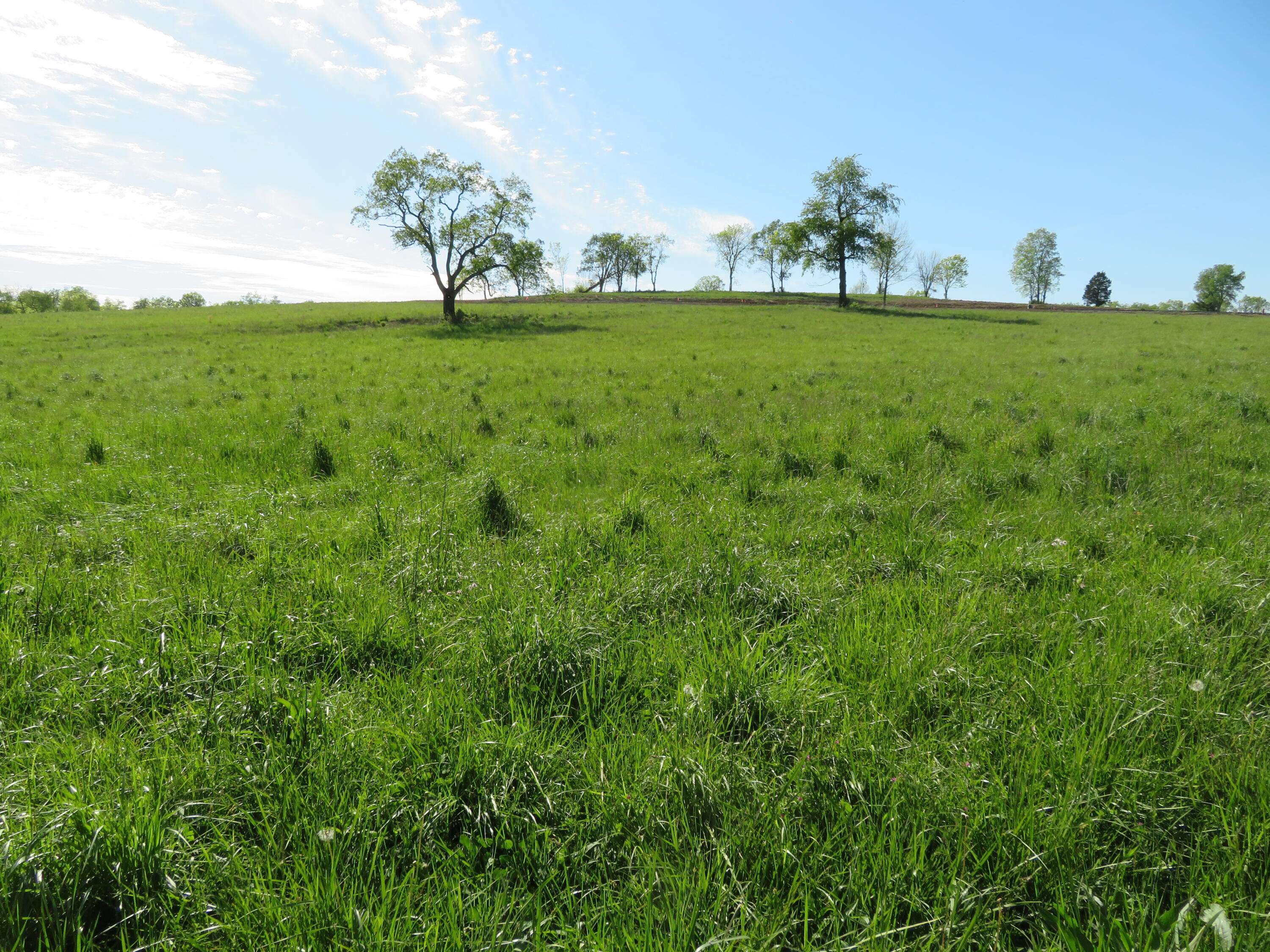 Winchester, KY 40391,990 Craig Crossing Road