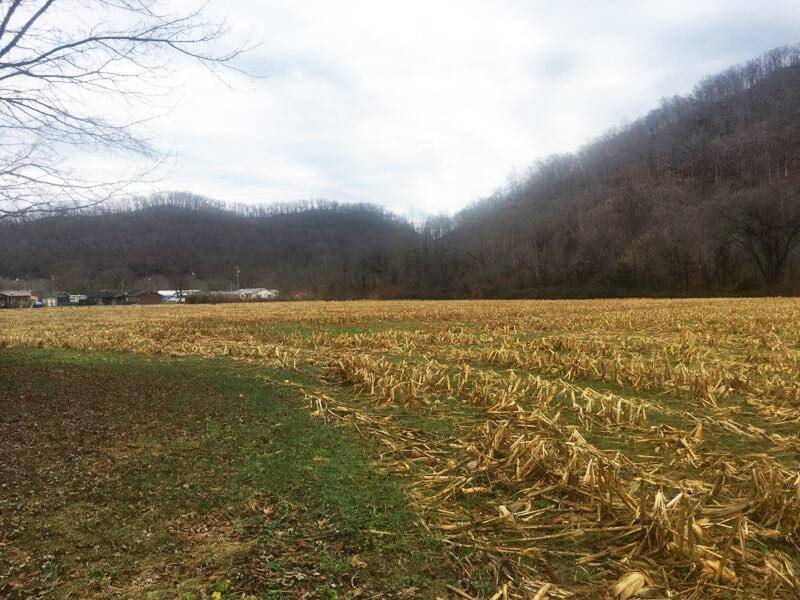 Auxier, KY 41602,0 John CC Mayo Road