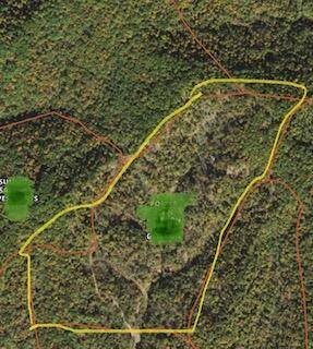 West Liberty, KY 41472,0000 Haney Branch Road