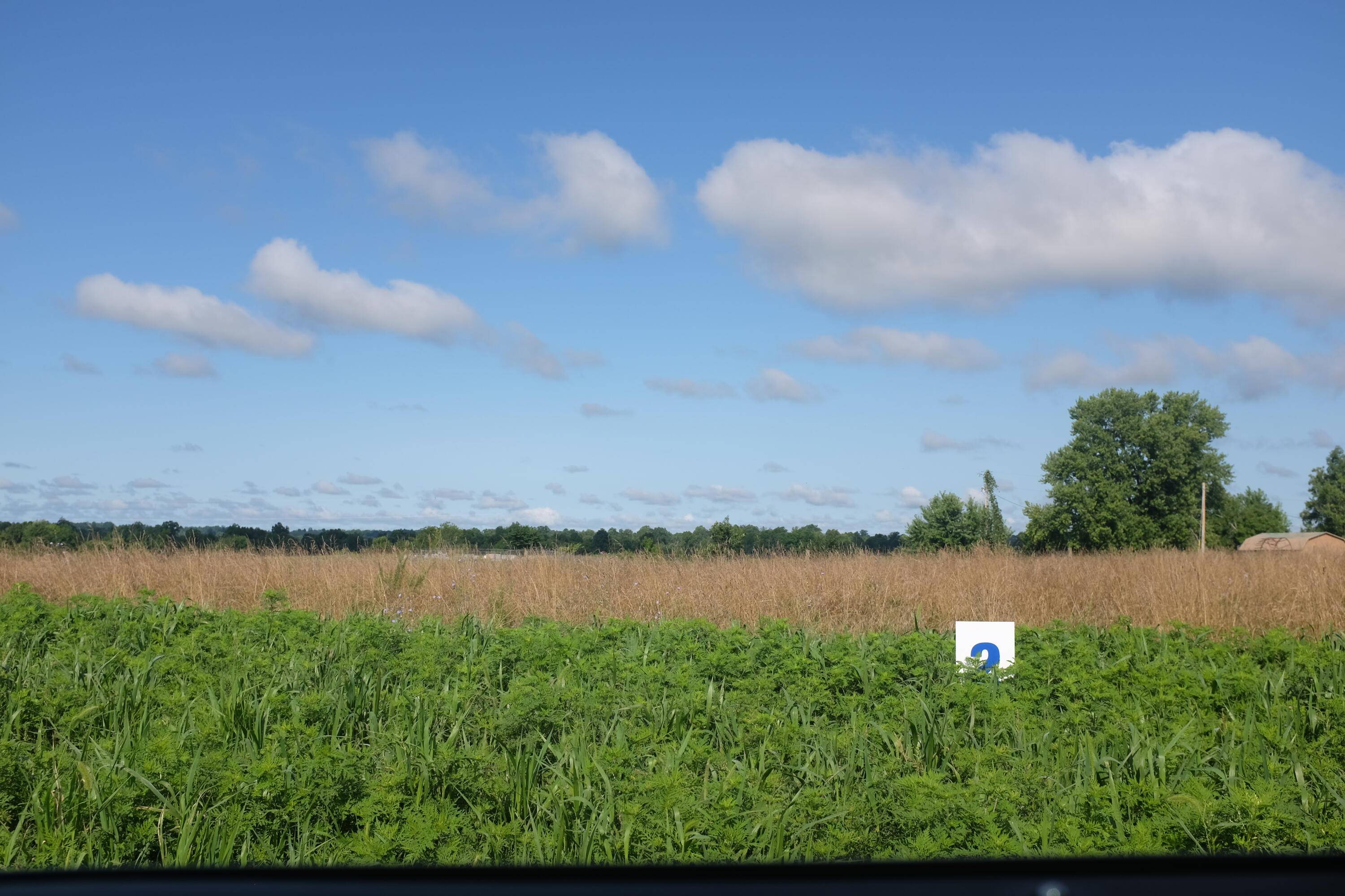 East Bernstadt, KY 40729,78 Bull Run