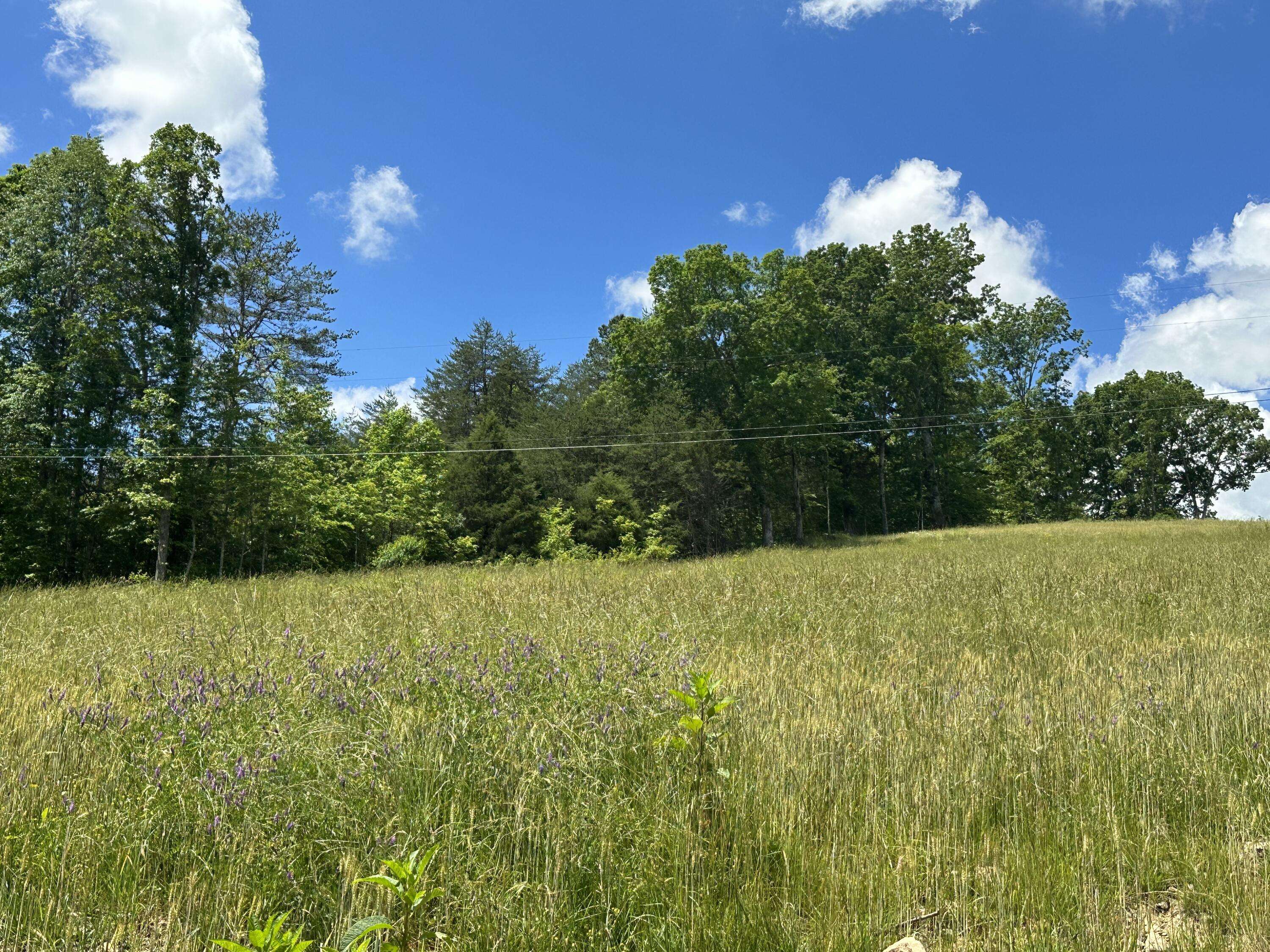 East Bernstadt, KY 40729,1800 Money Road