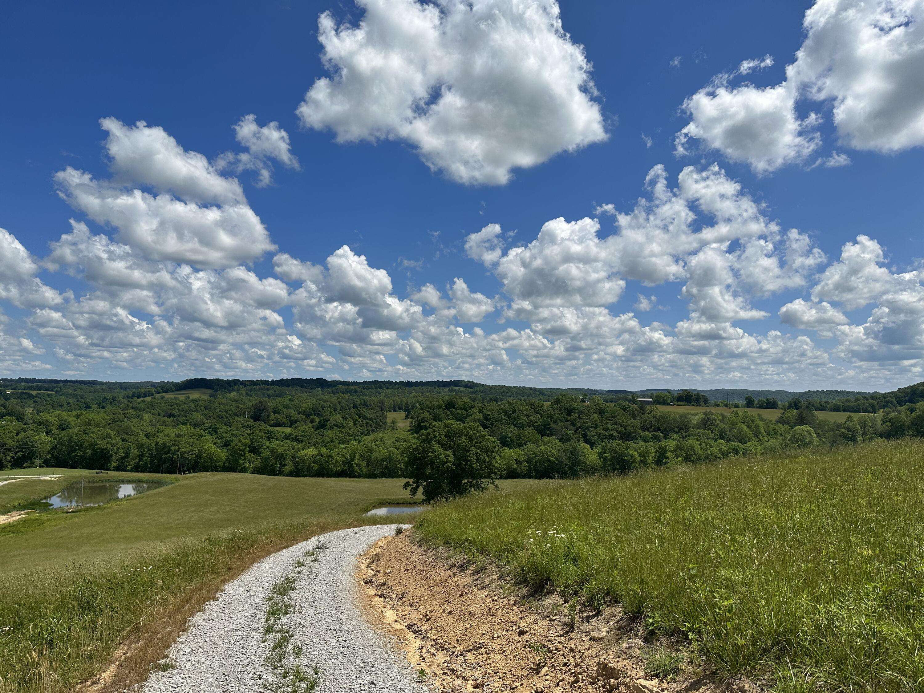 East Bernstadt, KY 40729,1800 Money Road