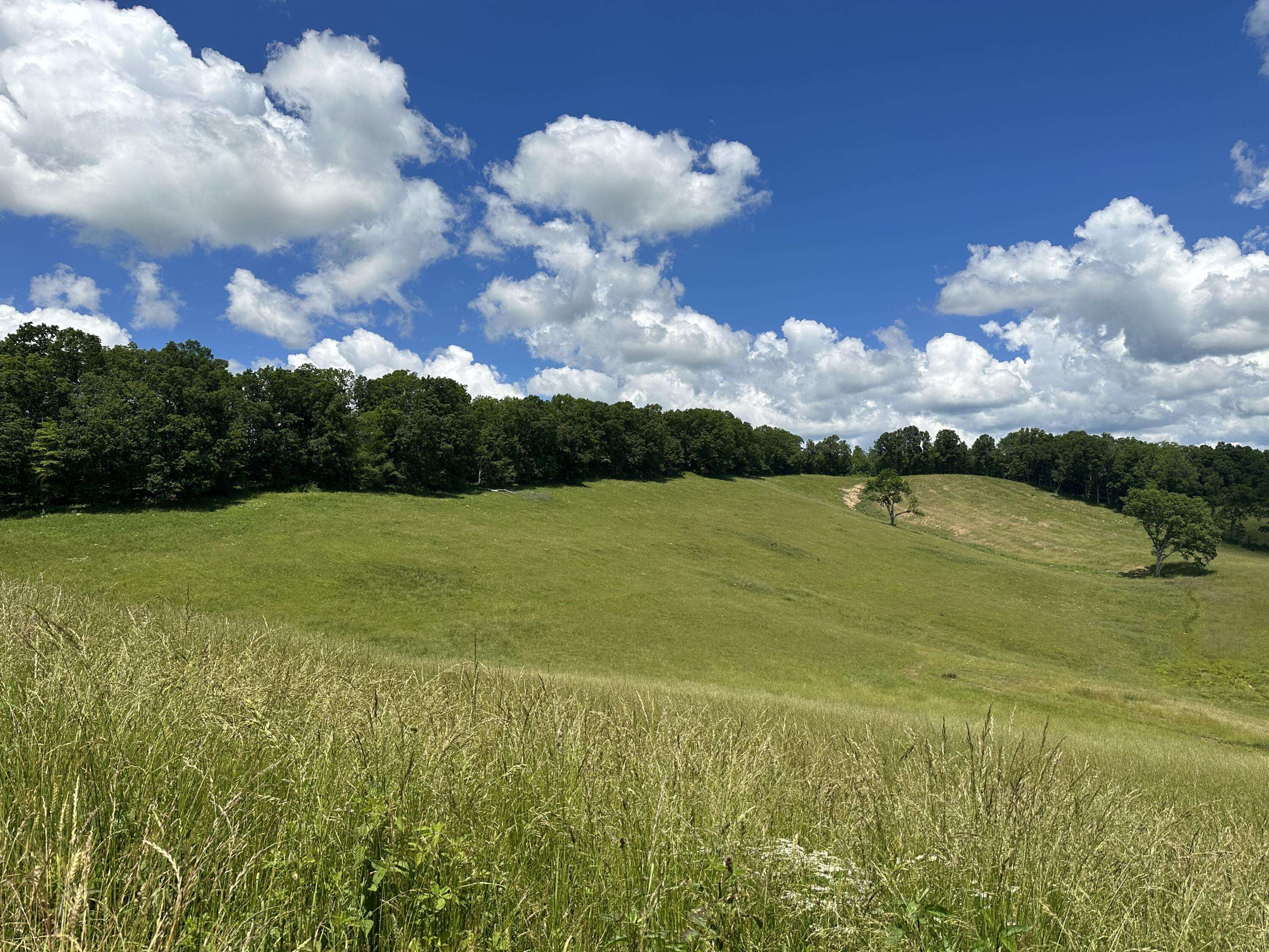 East Bernstadt, KY 40729,1800 Money Road