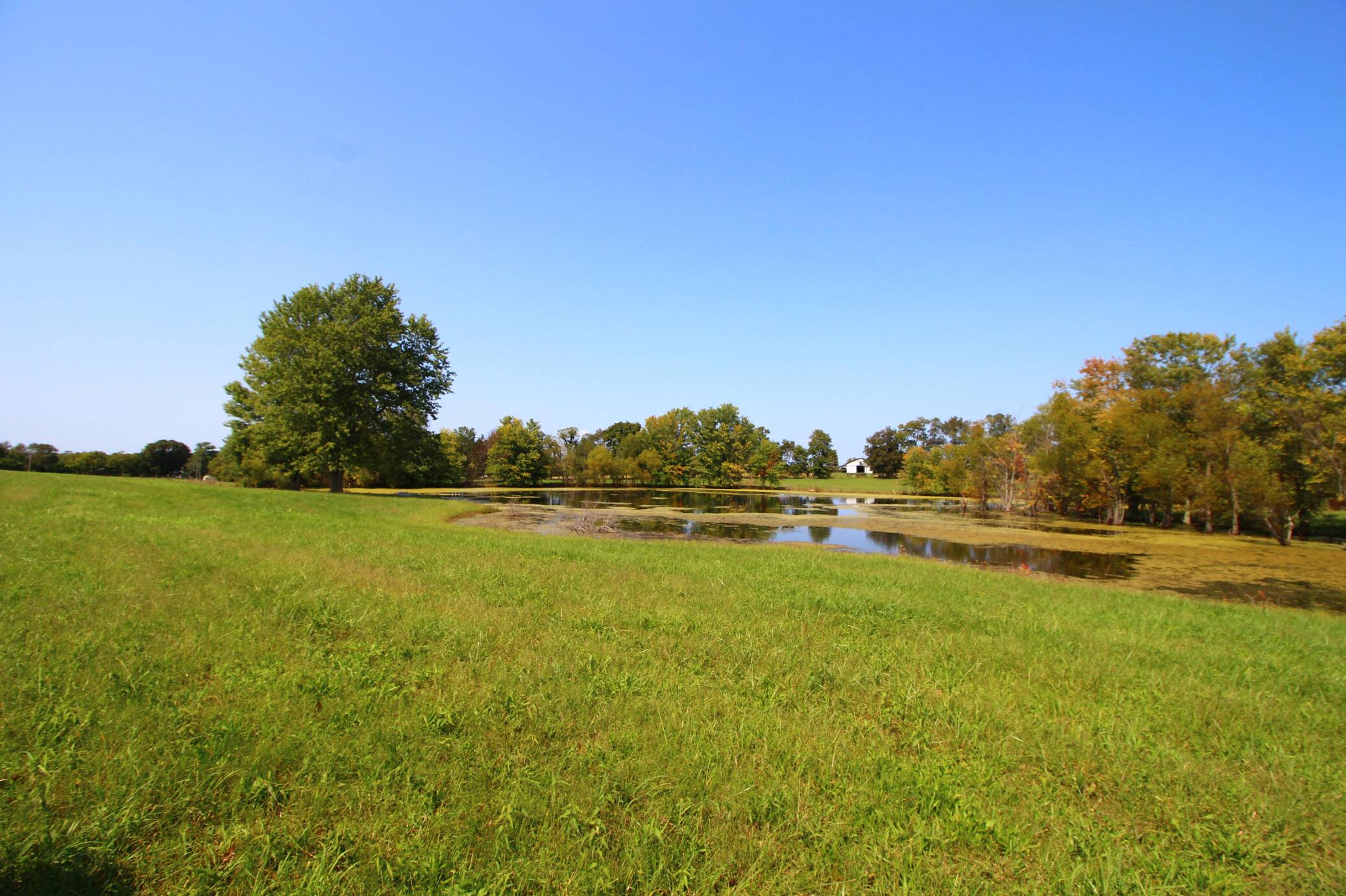 Shelbyville, KY 40065,300 Flood Road