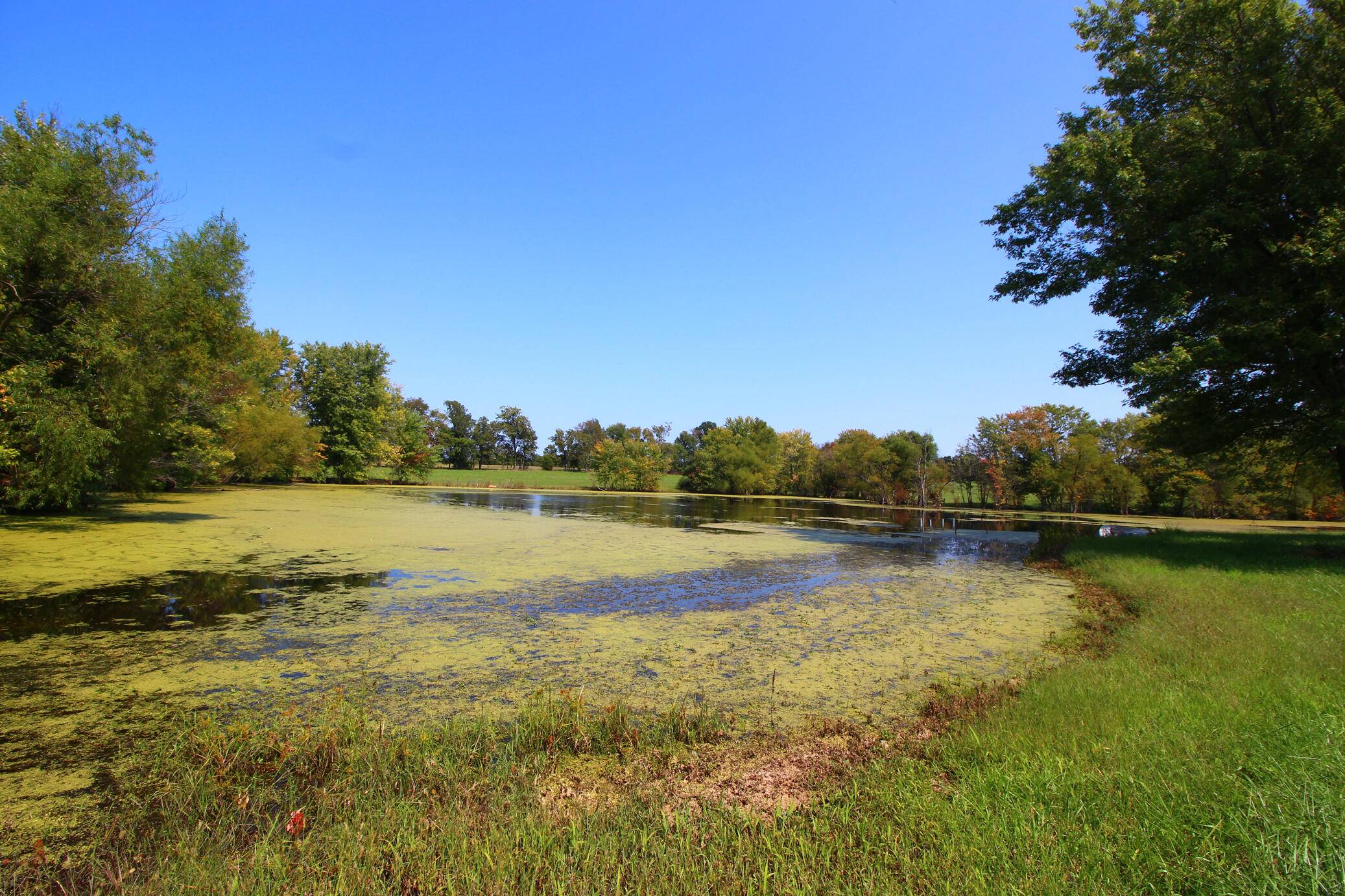 Shelbyville, KY 40065,300 Flood Road