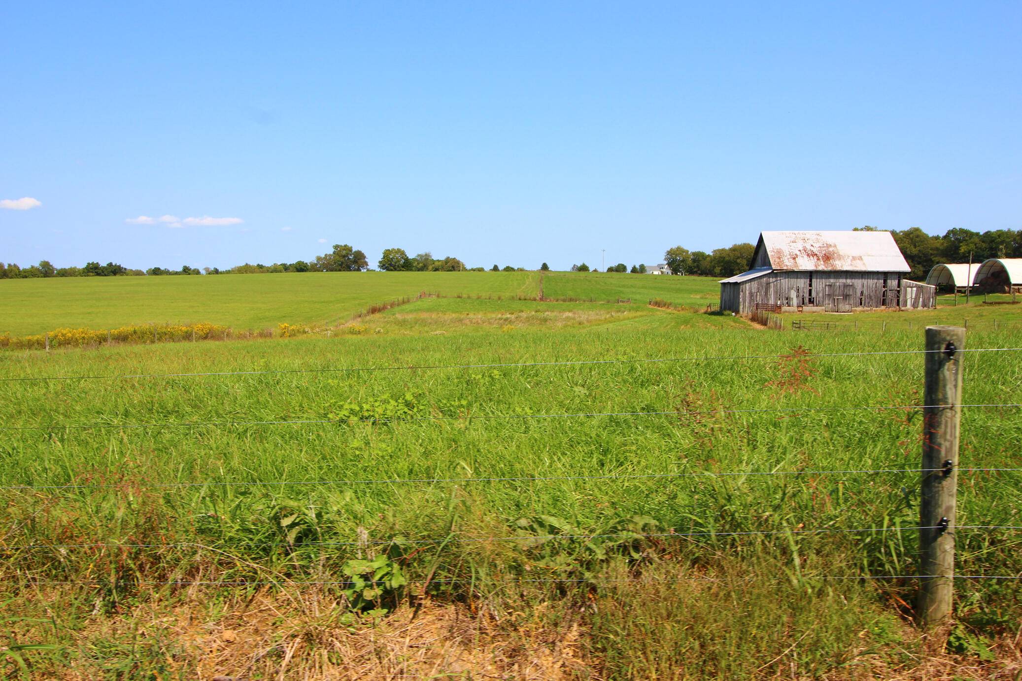 Shelbyville, KY 40065,1100 Christianburg Road