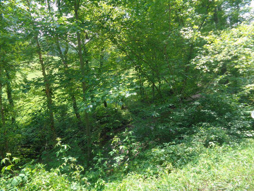 East Bernstadt, KY 40729,Lot 36 Cliffs Edge Road