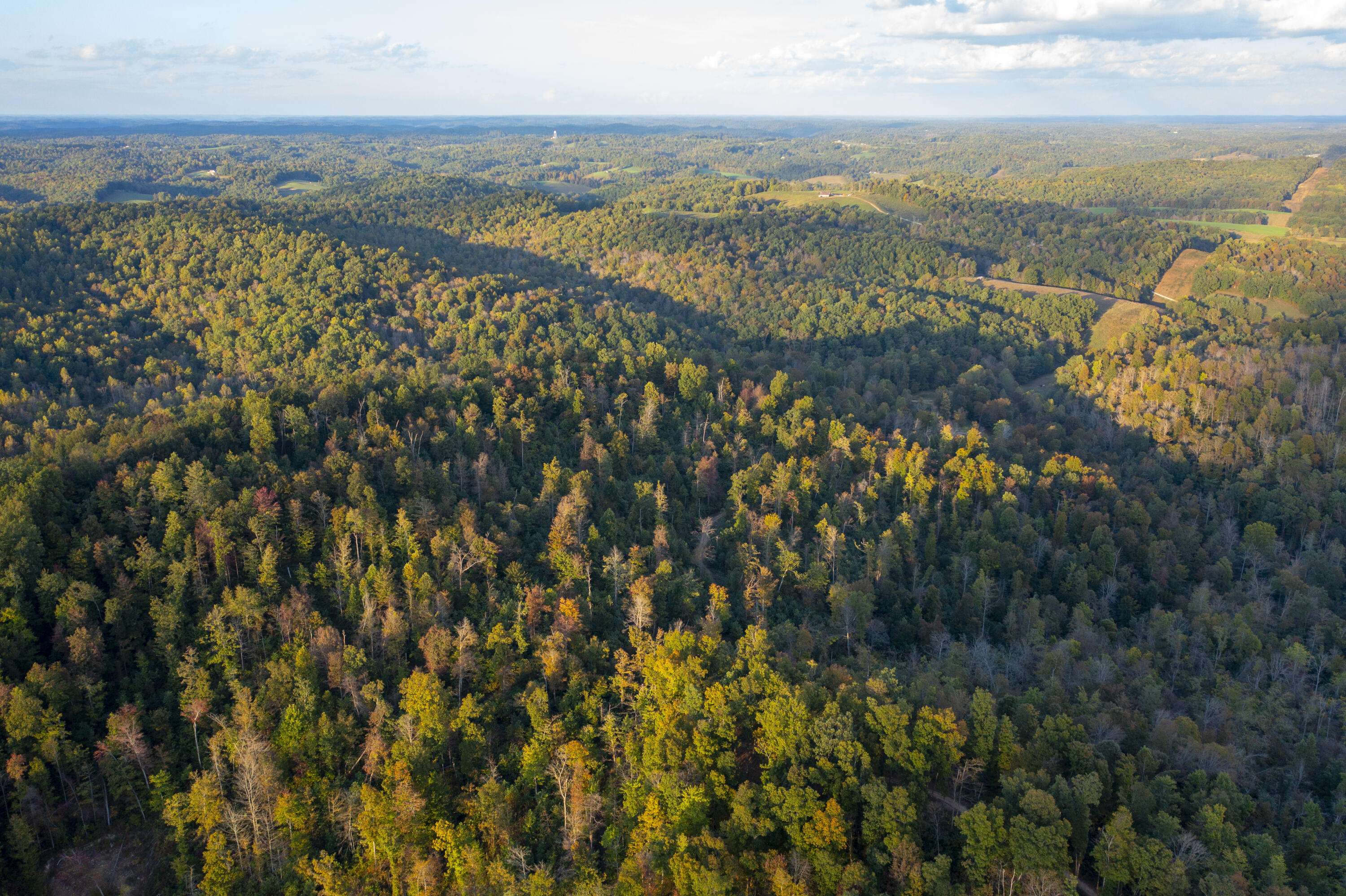 Olive Hill, KY 41164,110 Acres Land Fleming Fork