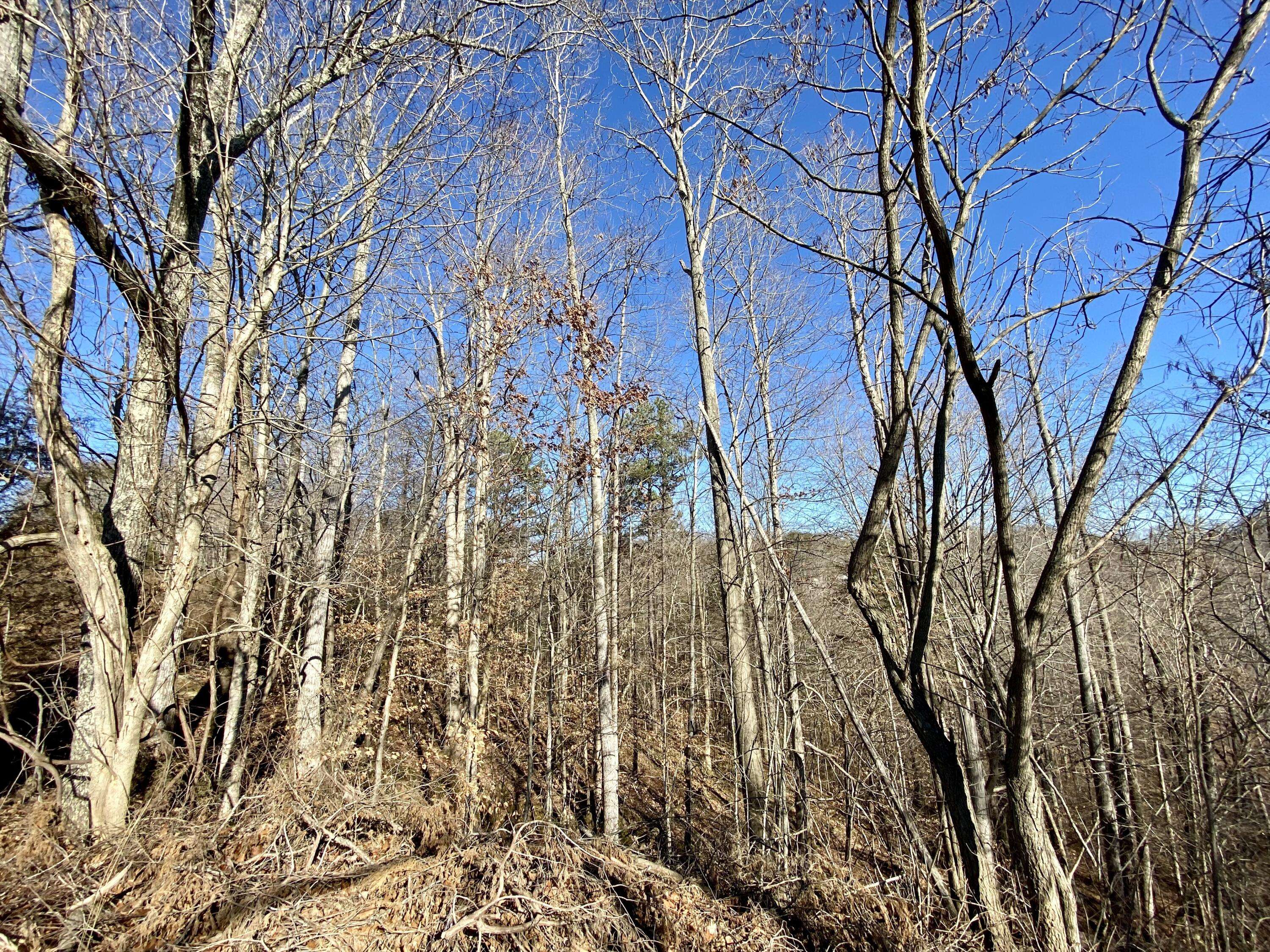 Somerset, KY 42503,0 Bridge Hollow Road